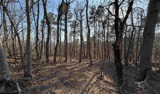 Photo #3 of OLD STONY RIDGE RD, AFTON, VA 12.5 acres