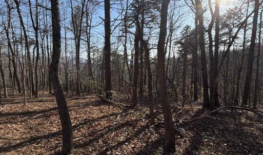 Photo #19 of OLD STONY RIDGE RD, AFTON, VA 12.5 acres