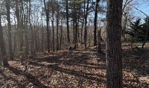 Photo #20 of OLD STONY RIDGE RD, AFTON, VA 12.5 acres