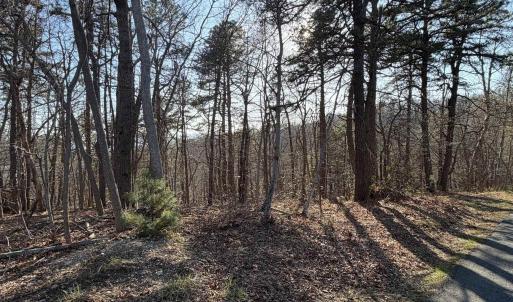 Photo #18 of OLD STONY RIDGE RD, AFTON, VA 12.5 acres