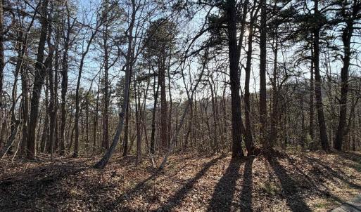 Photo #16 of OLD STONY RIDGE RD, AFTON, VA 12.5 acres