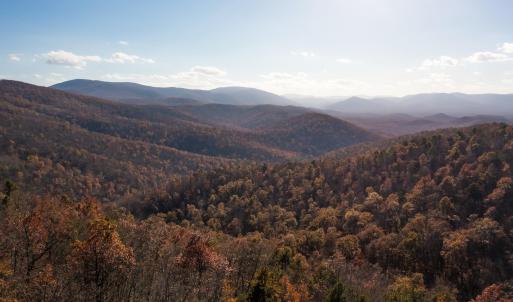 Photo #5 of OLD STONY RIDGE RD, AFTON, VA 12.5 acres