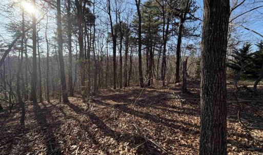Photo #7 of OLD STONY RIDGE RD, AFTON, VA 12.5 acres