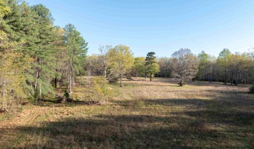 Photo #3 of LINDSAY RD, GORDONSVILLE, VA 33.2 acres