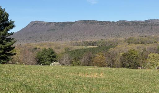 Photo #14 of TBD BLOOMER SPRINGS RD, MCGAHEYSVILLE, VA 10.5 acres