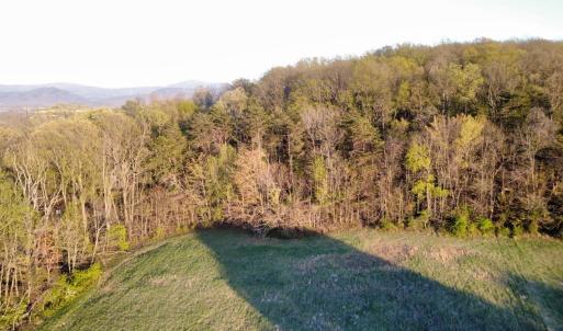 Photo #8 of TBD BLOOMER SPRINGS RD, MCGAHEYSVILLE, VA 10.5 acres