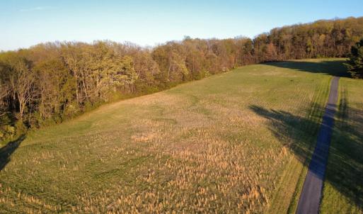 Photo #7 of TBD BLOOMER SPRINGS RD, MCGAHEYSVILLE, VA 10.5 acres