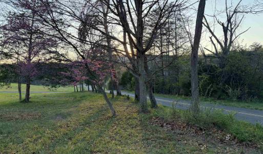 Photo #15 of TBD BLOOMER SPRINGS RD, MCGAHEYSVILLE, VA 10.5 acres