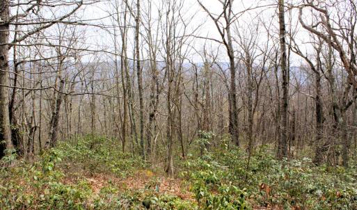 Photo #3 of HIGH VALLEY DR, MONTEREY, VA 20.0 acres