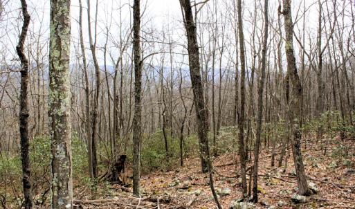Photo #1 of HIGH VALLEY DR, MONTEREY, VA 20.0 acres