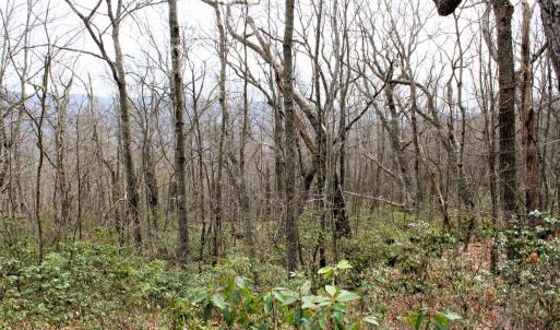 Photo #5 of HIGH VALLEY DR, MONTEREY, VA 20.0 acres