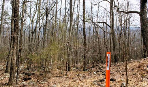Photo #2 of HIGH VALLEY DR, MONTEREY, VA 20.0 acres
