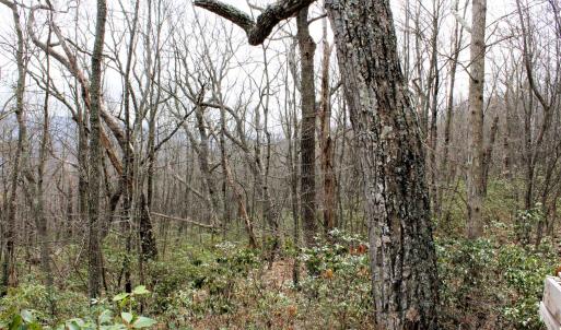 Photo #4 of HIGH VALLEY DR, MONTEREY, VA 20.0 acres