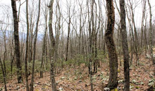 Photo #6 of HIGH VALLEY DR, MONTEREY, VA 20.0 acres