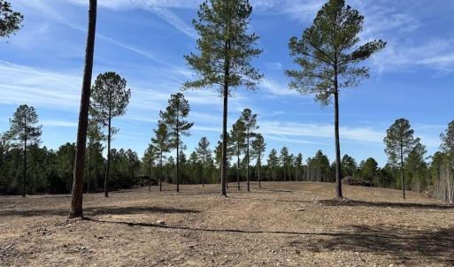 Photo #9 of TBD ROLLING RD, CHARLOTTESVILLE, VA 2,470.0 acres