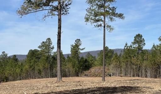 Photo #8 of TBD ROLLING RD, CHARLOTTESVILLE, VA 2,470.0 acres