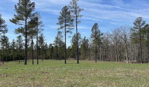 Photo #7 of TBD ROLLING RD, CHARLOTTESVILLE, VA 2,470.0 acres