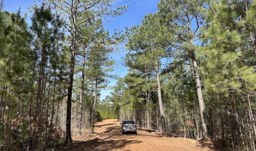 Photo #6 of TBD ROLLING RD, CHARLOTTESVILLE, VA 2,470.0 acres