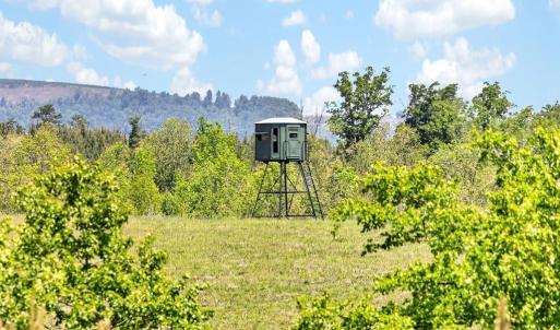 Photo #9 of TBD ROLLING RD, CHARLOTTESVILLE, VA 2,470.0 acres