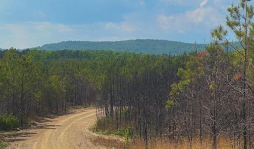 Photo #11 of TBD ROLLING RD, CHARLOTTESVILLE, VA 2,470.0 acres