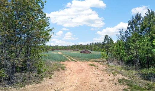 Photo #8 of TBD ROLLING RD, CHARLOTTESVILLE, VA 2,470.0 acres