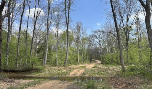 Photo #13 of TBD ROLLING RD, CHARLOTTESVILLE, VA 2,470.0 acres