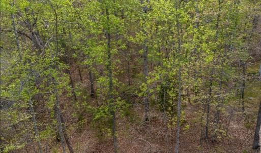 Photo #4 of TURKEYSAG TRL, PALMYRA, VA 0.3 acres