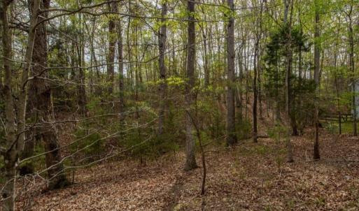 Photo #1 of TURKEYSAG TRL, PALMYRA, VA 0.3 acres