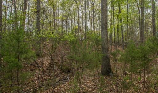 Photo #2 of TURKEYSAG TRL, PALMYRA, VA 0.3 acres