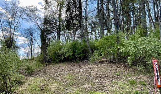 Photo #1 of LAKESIDE DR, CHARLOTTESVILLE, VA 0.4 acres