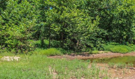 Photo #64 of TBD JONES OVERLOOK, HOWARDSVILLE, VA 85.6 acres