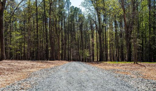 Photo #6 of TBD GARTH GATE LN, CHARLOTTESVILLE, VA 21.0 acres