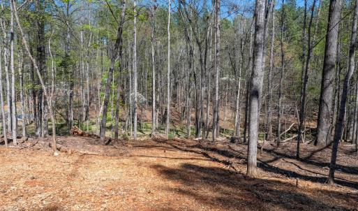 Photo #7 of TBD GARTH GATE LN, CHARLOTTESVILLE, VA 21.0 acres