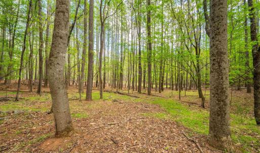 Photo #9 of TBD GARTH GATE LN, CHARLOTTESVILLE, VA 21.0 acres