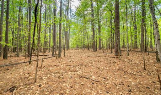 Photo #10 of TBD GARTH GATE LN, CHARLOTTESVILLE, VA 21.0 acres