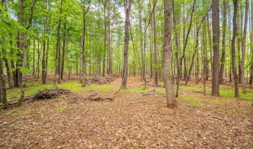 Photo #8 of TBD GARTH GATE LN, CHARLOTTESVILLE, VA 21.0 acres
