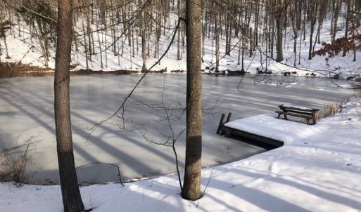 Photo #25 of 163 acres HOPKINS GAP RD, FULKS RUN, VA 163.7 acres