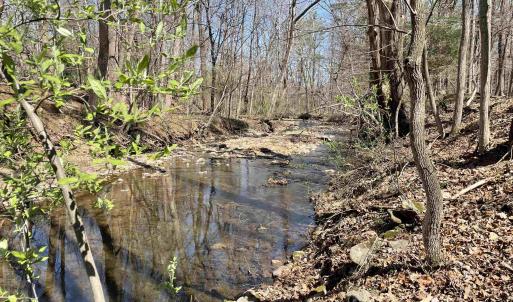 Photo #26 of 163 acres HOPKINS GAP RD, FULKS RUN, VA 163.7 acres