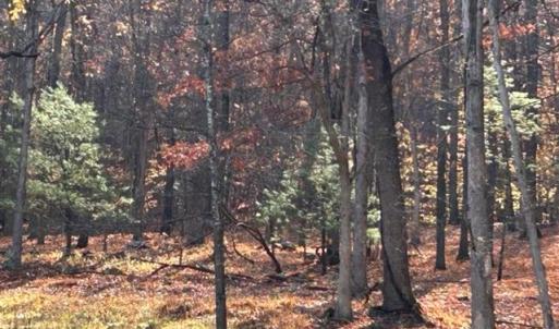 Photo #58 of 163 acres HOPKINS GAP RD, FULKS RUN, VA 163.7 acres