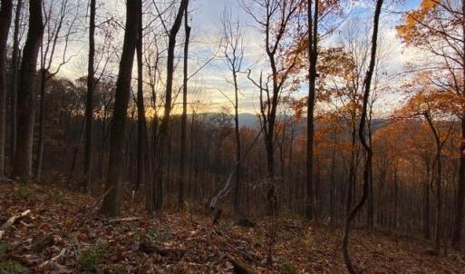 Photo #54 of 163 acres HOPKINS GAP RD, FULKS RUN, VA 163.7 acres