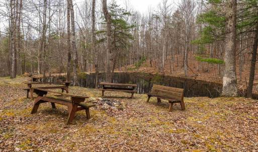 Photo #18 of 163 acres HOPKINS GAP RD, FULKS RUN, VA 163.7 acres