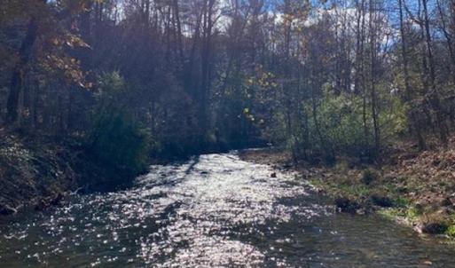 Photo #41 of 163 acres HOPKINS GAP RD, FULKS RUN, VA 163.7 acres