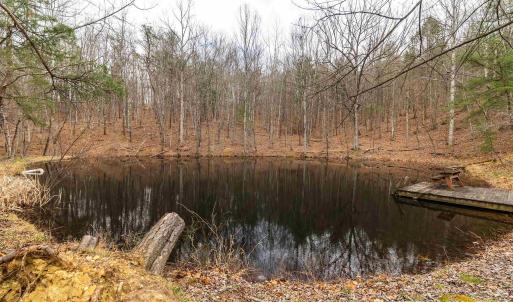 Photo #23 of 163 acres HOPKINS GAP RD, FULKS RUN, VA 163.7 acres