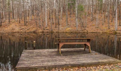 Photo #18 of 163 acres HOPKINS GAP RD, FULKS RUN, VA 163.7 acres