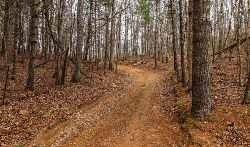 Photo #40 of Lot 1 HOPKINS GAP RD, FULKS RUN, VA 81.9 acres