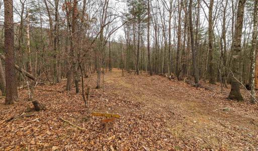 Photo #41 of Lot 1 HOPKINS GAP RD, FULKS RUN, VA 81.9 acres