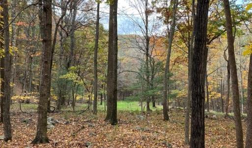 Photo #68 of Lot 1 HOPKINS GAP RD, FULKS RUN, VA 81.9 acres