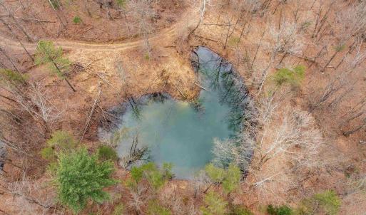 Photo #50 of Lot 1 HOPKINS GAP RD, FULKS RUN, VA 81.9 acres