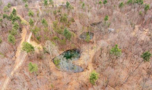 Photo #48 of Lot 1 HOPKINS GAP RD, FULKS RUN, VA 81.9 acres