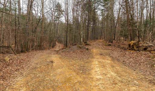 Photo #35 of Lot 1 HOPKINS GAP RD, FULKS RUN, VA 81.9 acres
